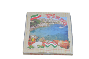 Cutie Pizza G 460x460x40 Tre sa intreb daca Exista sau nu asa ceva ESTE