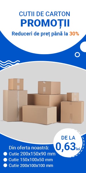 300x600 cutii de carton